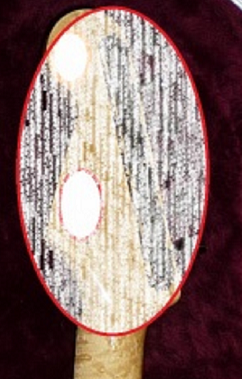 twin logo.bmp