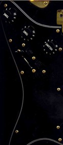 blackstrat1 (124 x 284).jpg